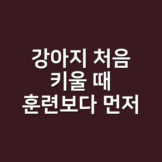 강아지 처음 키울 때 훈련보다 먼저 잡아야 하는 방법 - 요약