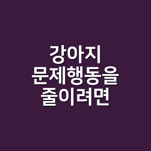 강아지 문제행동을 줄이려면 이렇게 생활 루틴부터 바꾸는 방법 - 요약