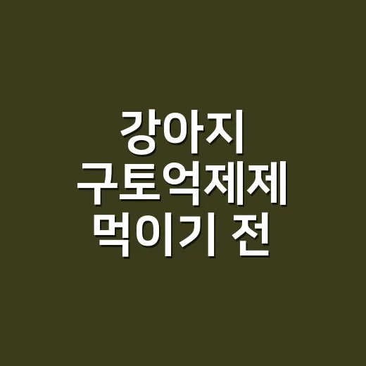 강아지 구토억제제 먹이기 전 확인하는 방법 - 요약