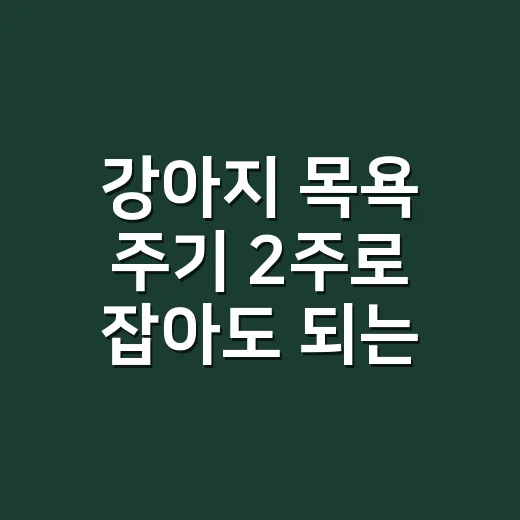 강아지 목욕 주기 2주로 잡아도 되는지 판단하는 방법 - 요약