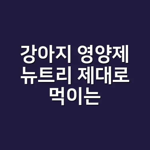 강아지 영양제 뉴트리 제대로 먹이는 방법 - 요약
