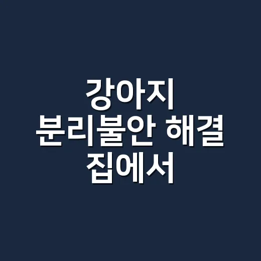 강아지 분리불안 해결 집에서 시작하는 방법 - 요약