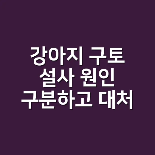 강아지 구토 설사 원인 구분하고 대처하는 방법 - 요약
