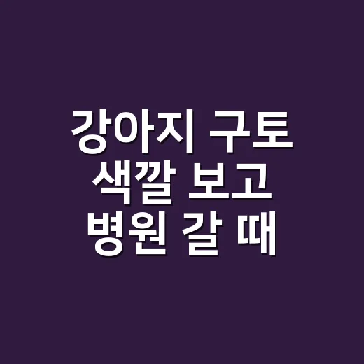 강아지 구토 색깔 보고 병원 갈 때 판단하는 방법 - 요약