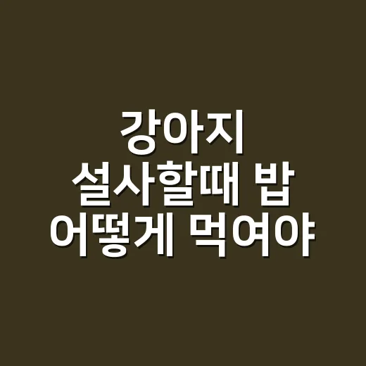 강아지 설사할때 밥 어떻게 먹여야 할까 - 요약