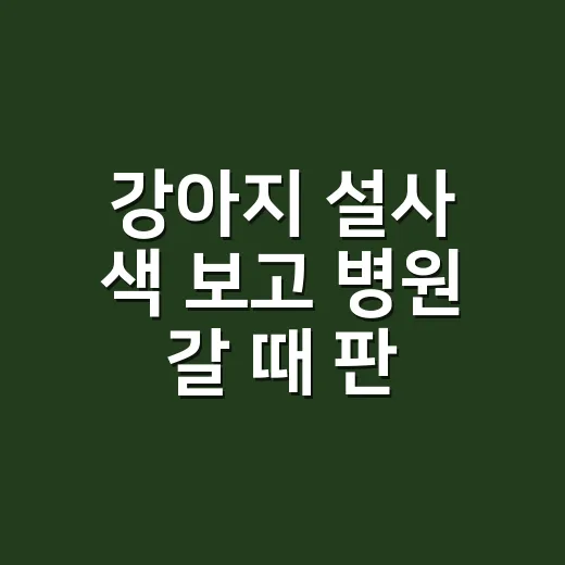 강아지 설사 색 보고 병원 갈 때 판단하는 방법 - 요약