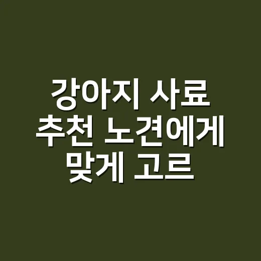 강아지 사료 추천 노견에게 맞게 고르는 방법 - 요약