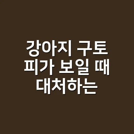 강아지 구토 피가 보일 때 대처하는 방법 - 요약