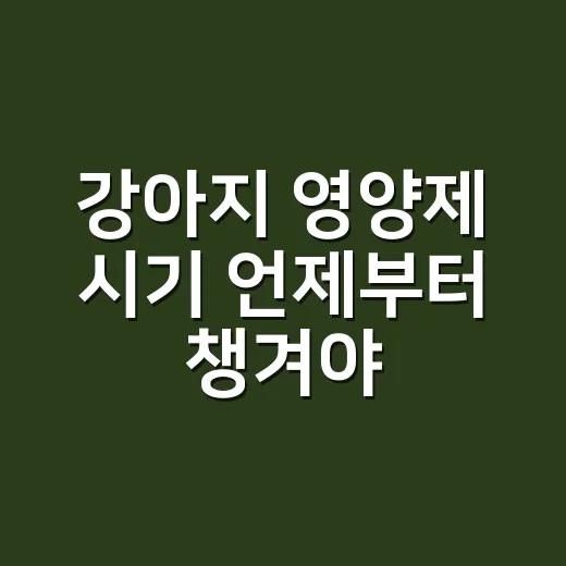 강아지 영양제 시기 언제부터 챙겨야 할까 - 요약