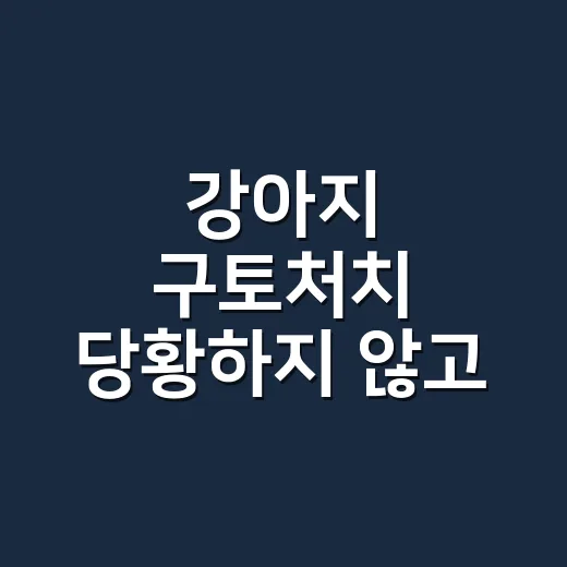 강아지 구토처치 당황하지 않고 하는 방법 - 요약