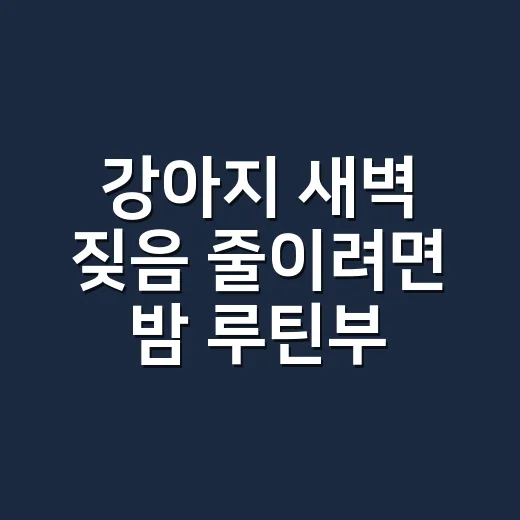 강아지 새벽 짖음 줄이려면 밤 루틴부터 바꾸세요 - 요약