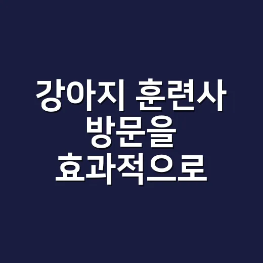 강아지 훈련사 방문을 효과적으로 활용하는 방법 - 요약