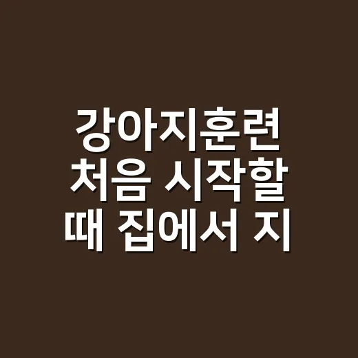 강아지훈련 처음 시작할 때 집에서 지키는 방법 - 요약