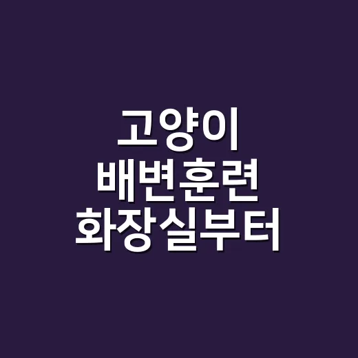 고양이 배변훈련 화장실부터 바꾸는 방법 - 요약