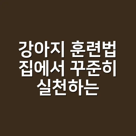 강아지 훈련법 집에서 꾸준히 실천하는 방법 - 요약