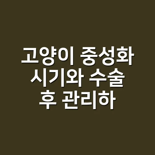 고양이 중성화 시기와 수술 후 관리하는 방법 - 요약