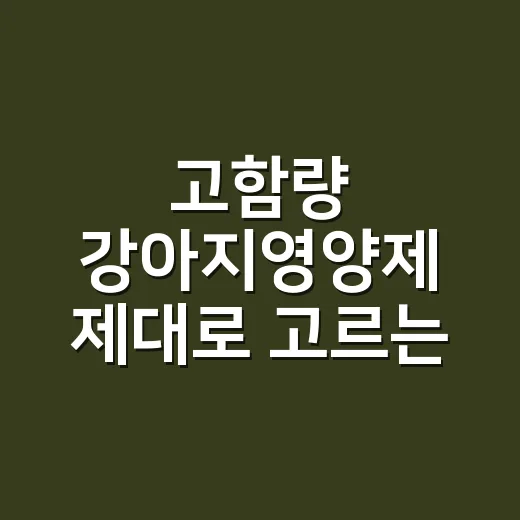 고함량 강아지영양제 제대로 고르는 방법 - 요약