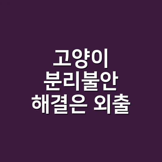 고양이 분리불안 해결은 외출 전 관찰부터 시작하는 방법 - 요약