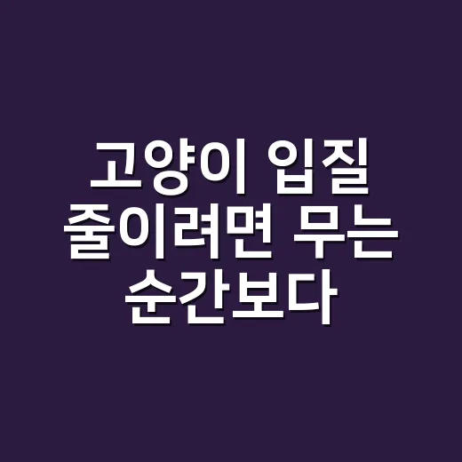 고양이 입질 줄이려면 무는 순간보다 직전을 보세요 - 요약