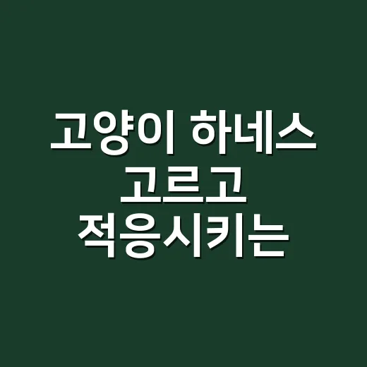 고양이 하네스 고르고 적응시키는 방법 - 요약