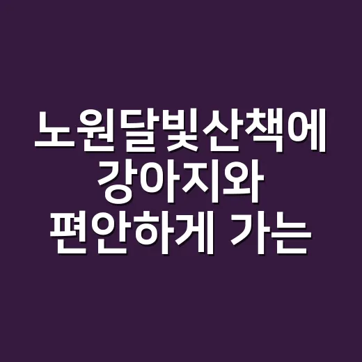 노원달빛산책에 강아지와 편안하게 가는 방법 - 요약