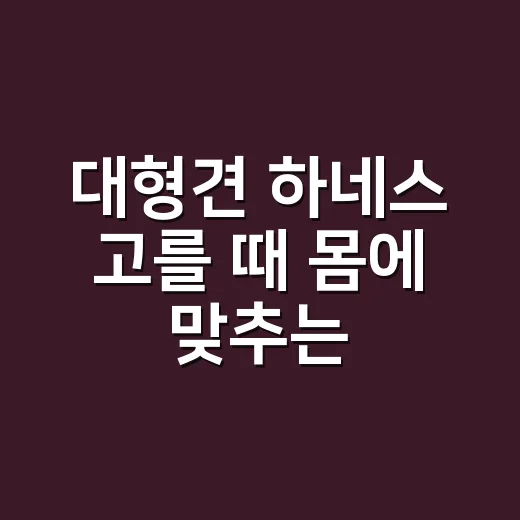 대형견 하네스 고를 때 몸에 맞추는 방법 - 요약