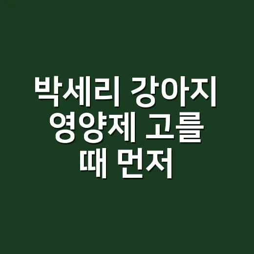 박세리 강아지 영양제 고를 때 먼저 확인하는 방법 - 요약