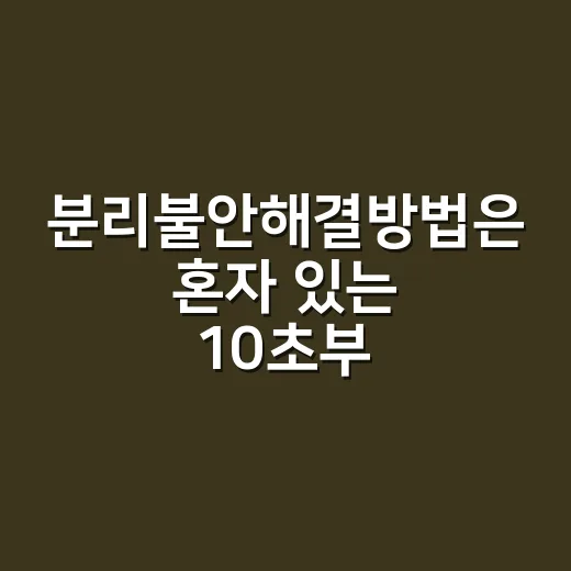 분리불안해결방법은 혼자 있는 10초부터 시작한다 - 요약