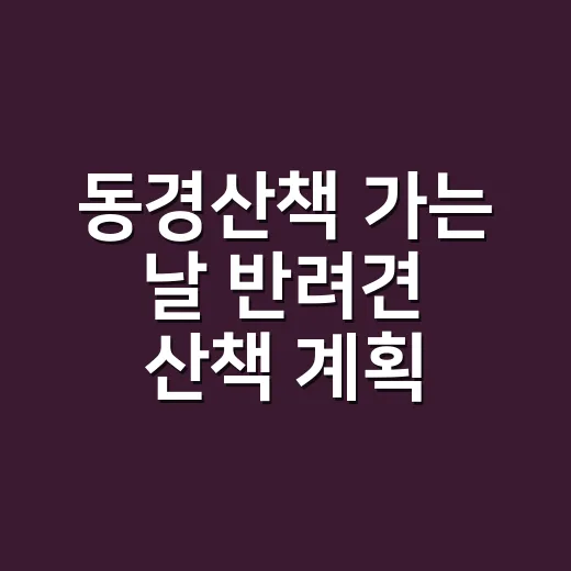 동경산책 가는 날 반려견 산책 계획 짜는 방법 - 요약