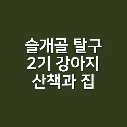 슬개골 탈구 2기 강아지 산책과 집 관리하는 방법 - 요약