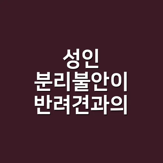 성인 분리불안이 반려견과의 생활에 영향을 줄 때 대처하는 방법 - 요약