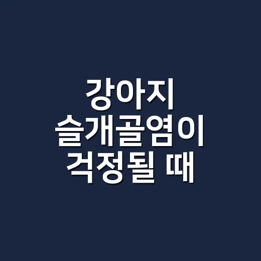 강아지 슬개골염이 걱정될 때 대처하는 방법 - 요약