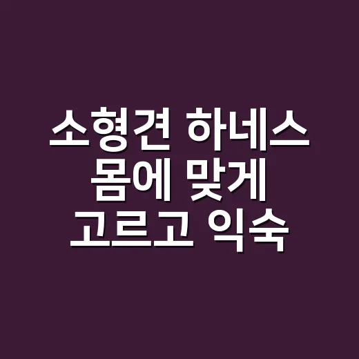 소형견 하네스 몸에 맞게 고르고 익숙해지는 방법 - 요약