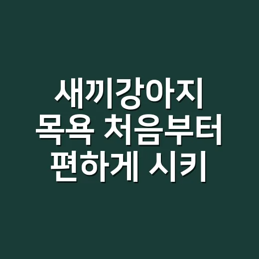 새끼강아지 목욕 처음부터 편하게 시키는 방법 - 요약