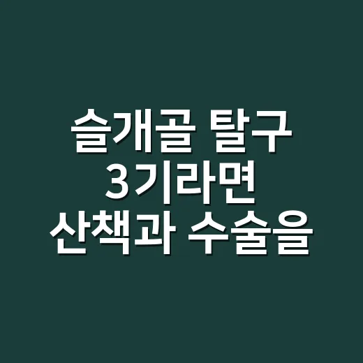 슬개골 탈구 3기라면 산책과 수술을 이렇게 판단하세요 - 요약