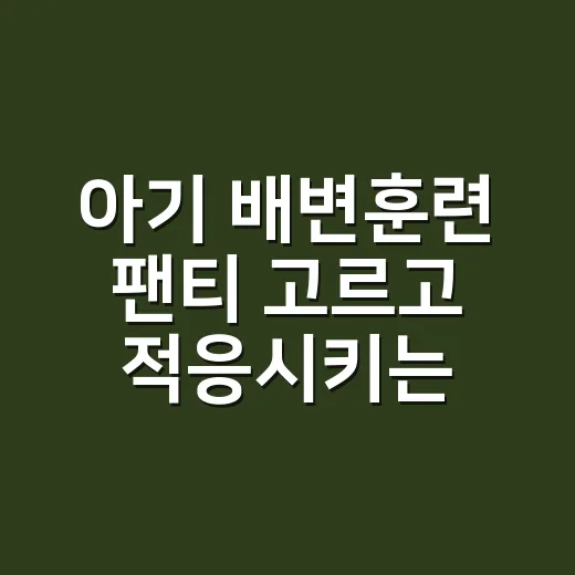 아기 배변훈련 팬티 고르고 적응시키는 방법 - 요약