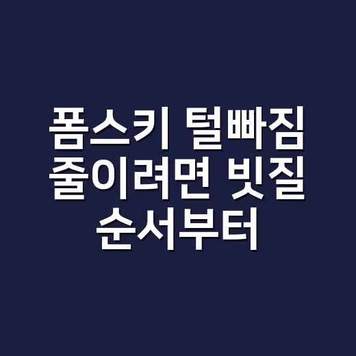 폼스키 털빠짐 줄이려면 빗질 순서부터 바꾸세요 - 요약