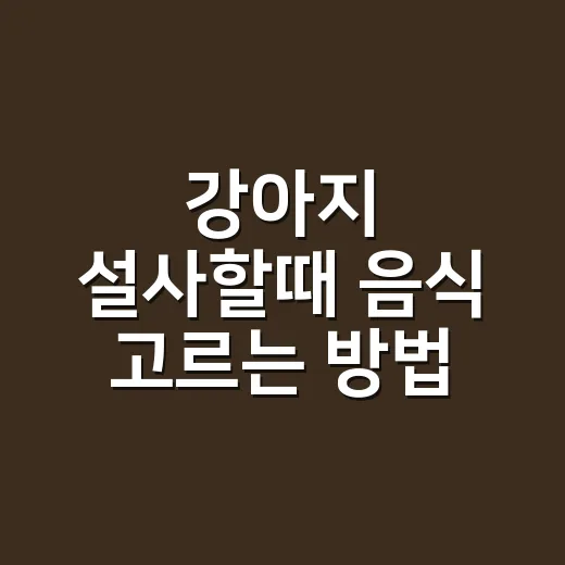 강아지 설사할때 음식 고르는 방법 - 요약