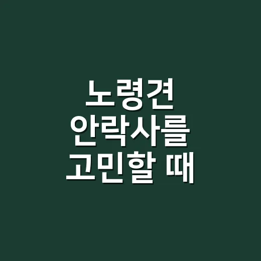 노령견 안락사를 고민할 때 상태를 살피는 방법 - 요약