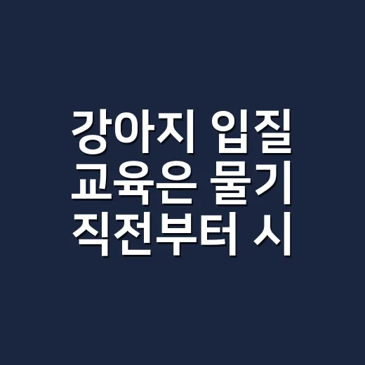 강아지 입질 교육은 물기 직전부터 시작하는 방법 - 요약