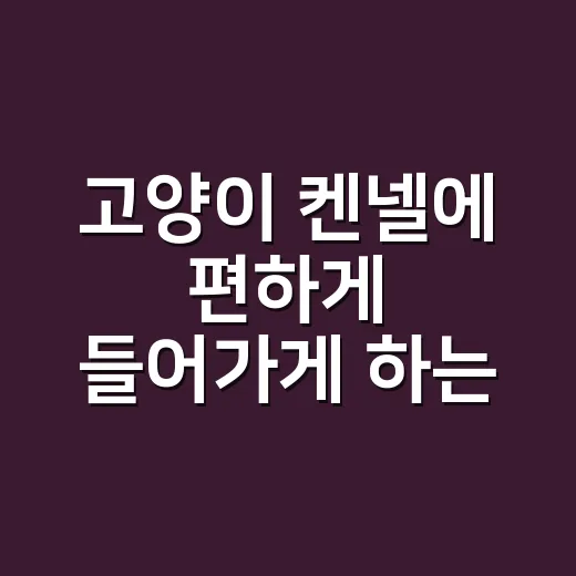 고양이 켄넬에 편하게 들어가게 하는 방법 - 요약