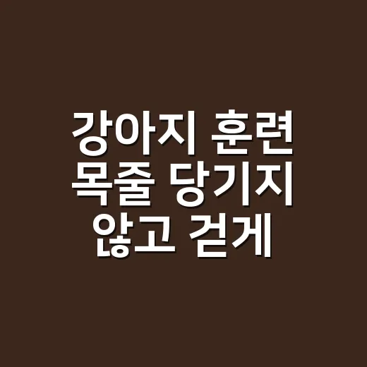 강아지 훈련 목줄 당기지 않고 걷게 하는 방법 - 요약
