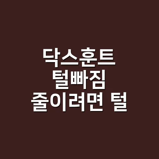닥스훈트 털빠짐 줄이려면 털 종류부터 확인하세요 - 요약
