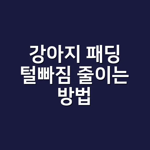 강아지 패딩 털빠짐 줄이는 방법 - 요약