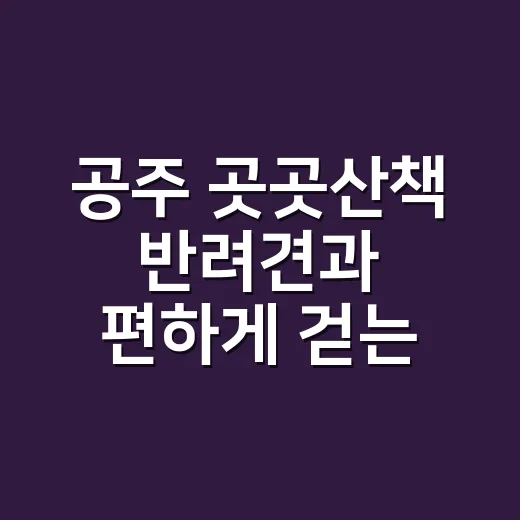공주 곳곳산책 반려견과 편하게 걷는 방법 - 요약