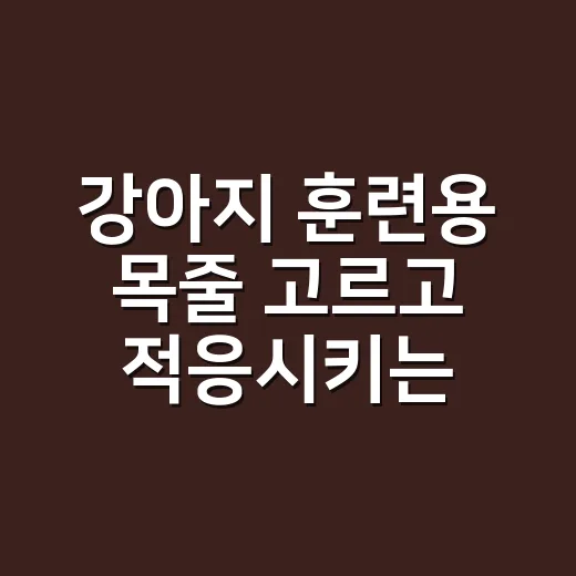 강아지 훈련용 목줄 고르고 적응시키는 방법 - 요약