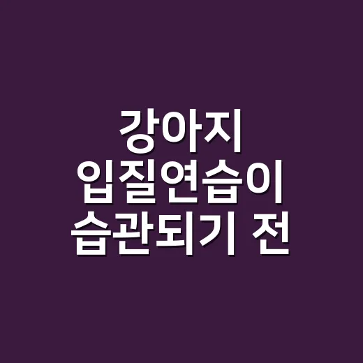 강아지 입질연습이 습관되기 전 대처하는 방법 - 요약
