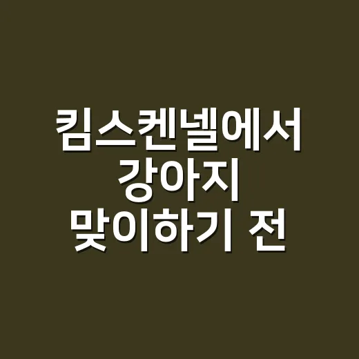 킴스켄넬에서 강아지 맞이하기 전 확인하는 방법 - 요약