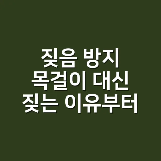 짖음 방지 목걸이 대신 짖는 이유부터 찾는 방법 - 요약