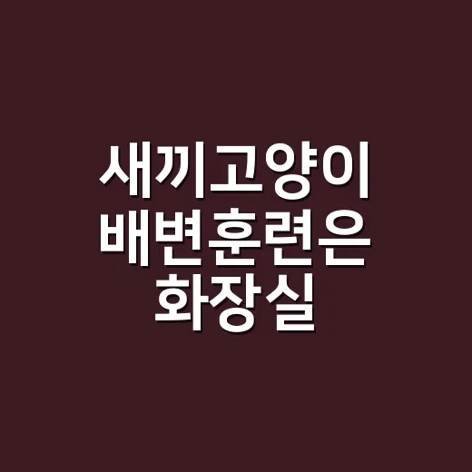 새끼고양이 배변훈련은 화장실 자리부터 잡는 방법 - 요약